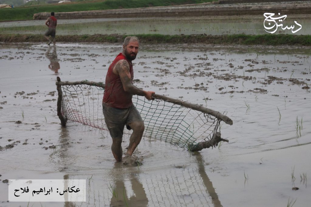 سومین دوره مسابقات فوتشال دودانگه ساری
