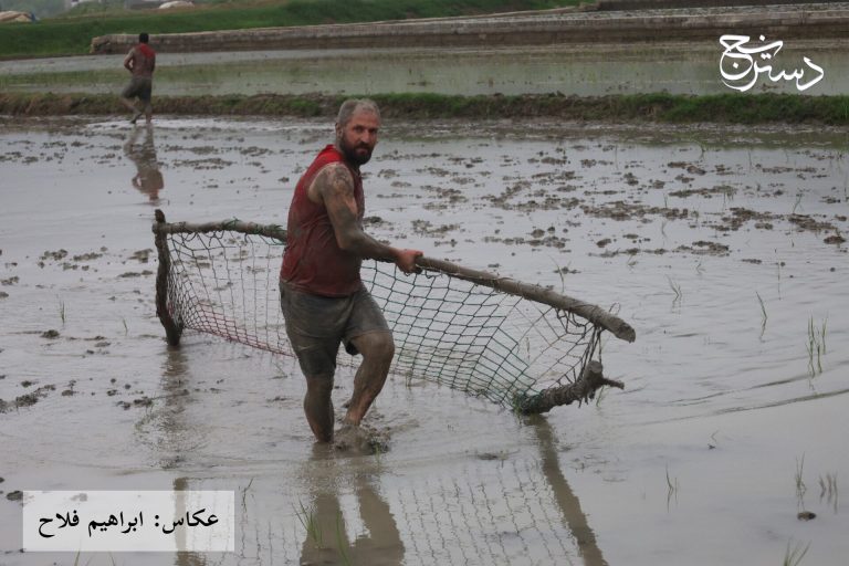 سومین دوره مسابقات فوتشال دودانگه ساری