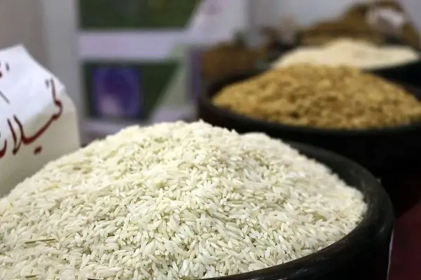 برنج در دو راهی بقا و گرانی؛ کشاورز زیر بار هزینه، مصرف‌کننده زیر فشار قیمت!