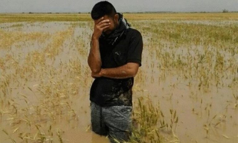 وقتی هشدار هست اما خسارت همچنان سنگین است؛ کشاورزی مازندران زیر فشار سیلاب!