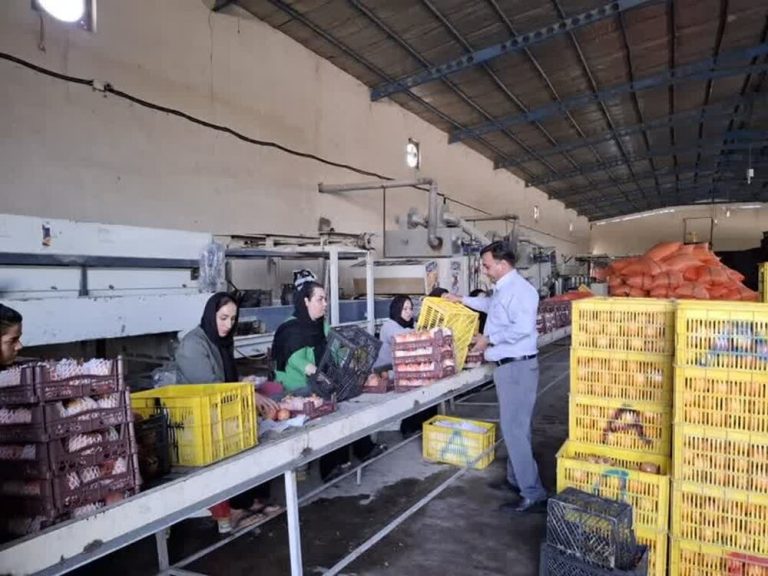 تعاون مازندران؛ چرا ظرفیت‌ها به اقتصاد تبدیل نمی‌شوند؟