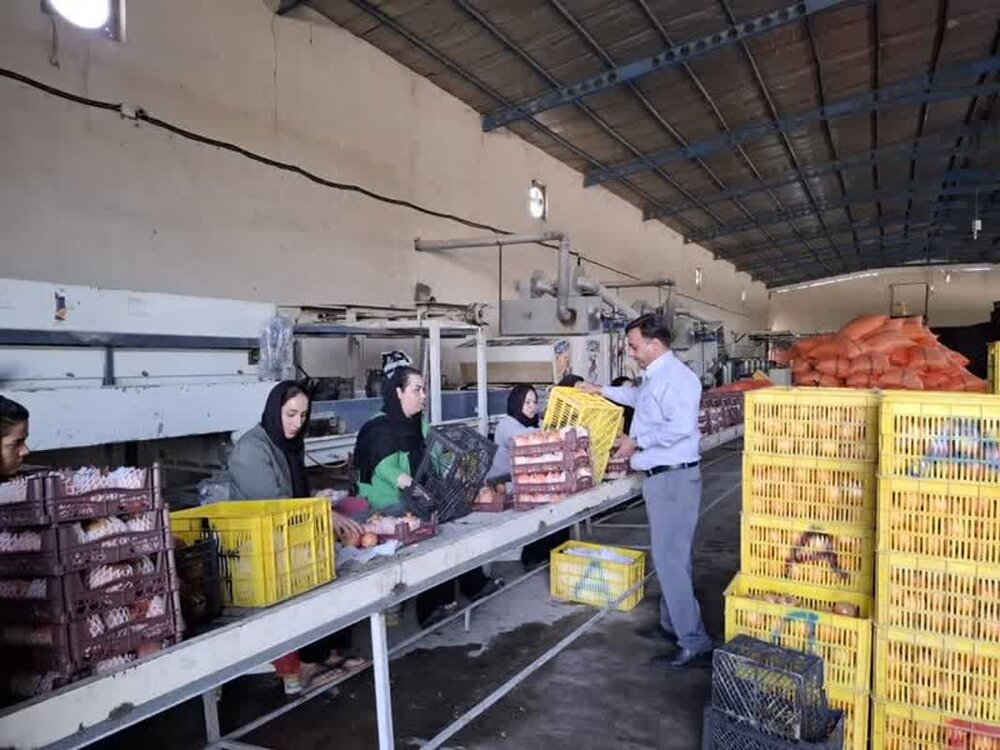تعاون مازندران؛ چرا ظرفیت‌ها به اقتصاد تبدیل نمی‌شوند؟