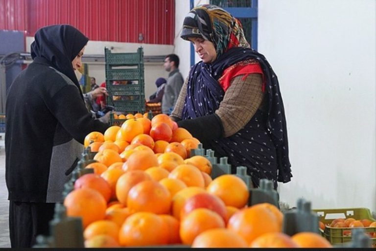 مرخصی کارگران فصلی چگونه محاسبه می‌شود؟
